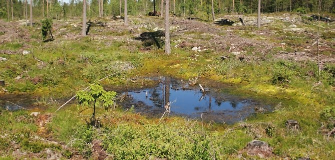 Huomionarvoiset luontokohteet 1.