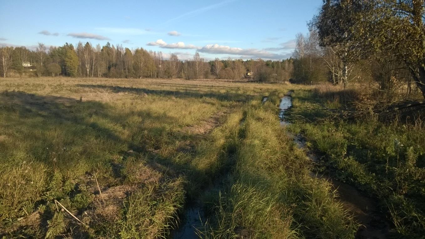 3.4 Selvitysalueen luontotyyppien kuvaukset Kuvioiden rajaukset, ks. kuva 3-1. Pellot: Suunnittelualueen pohjoisreunassa sijaitseva pelto on edelleen aktiivisessa viljelykäytössä viljapeltona.