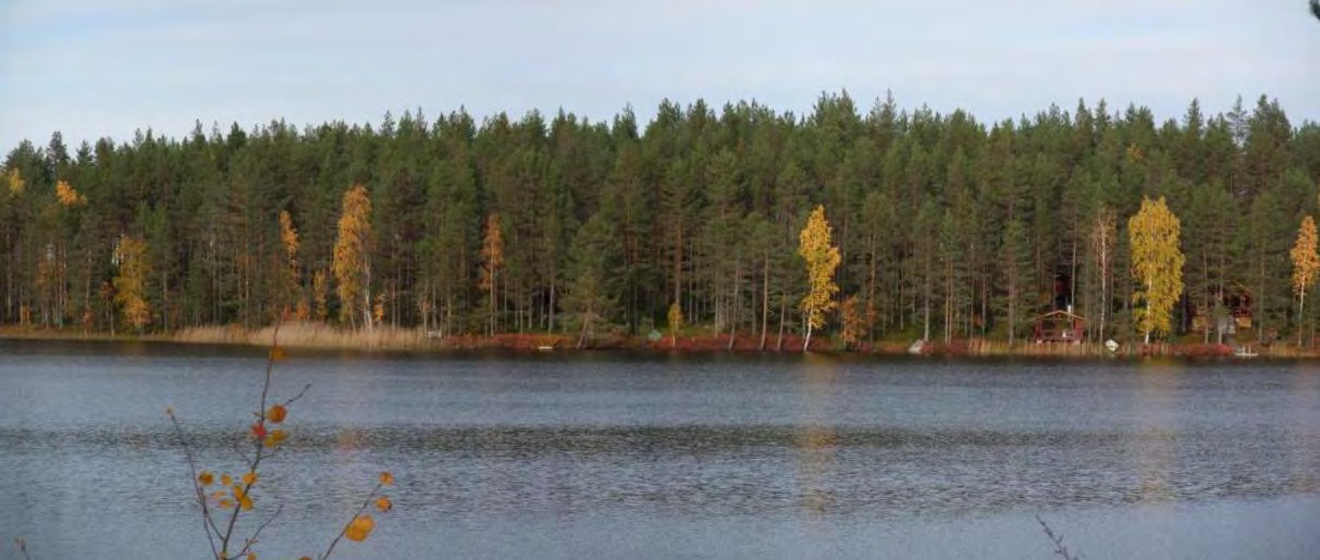 8 Sivu 14 Kuva 4 Järven rantaa korttelin 1500 kohdalla Alueella ei ole tiedossa perinnemaisemia (P-P ympäristökeskus: Pohjois-Pohjanmaan perinnemaisemat ), maisema-alueita (P-P liitto: