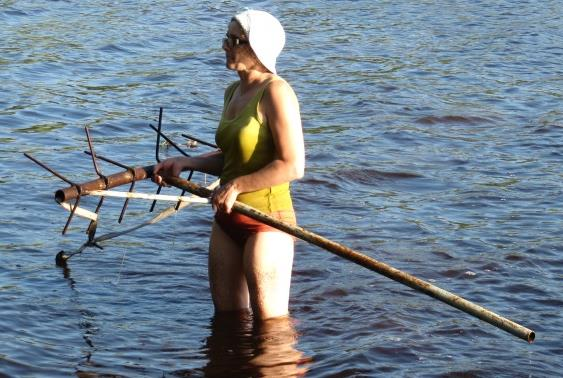 Nuotattu roskakalaa 1990 luvun alusta alkaen Alkuun saalista runsaasti Ulpukoiden poisto