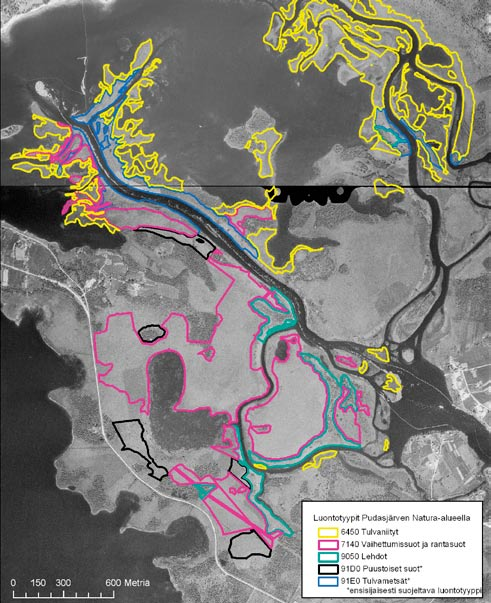 Kuva 6 30. Natura -luontotyypit vuoden 1960 ilmakuvassa. Kasvustotyypit eivät myöskään enää rajoitu toisiinsa selvärajaisesti vaan muodostavat esim.