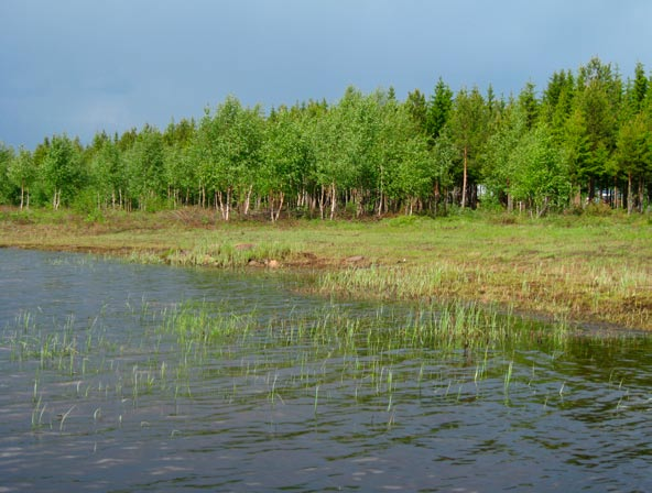 6.10 Kaakkurinrimmet Aittojärven pohjoispuolella sijaitsee 1 027 hehtaarin suuruinen, luontodirektiivin mukaisena alueena suojeltu Kaakkurinrimpien Natura-alue (FI1103824).
