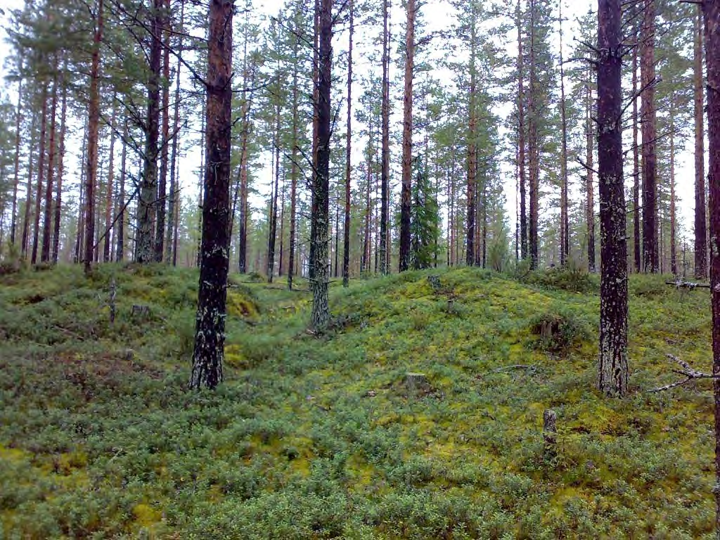 11 Pudasjärvi Ukonkangas 5 (1000012483) 48 Perustiedot Muinaisjäännöslaji Muinaisjäännöstyyppi Ajoitus Rauhoitusluokka kiinteä muinaisjäännös työ- ja valmistuspaikat, tervahaudat historiallinen ei