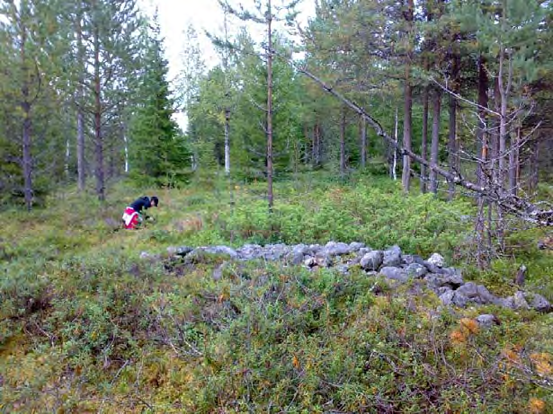 65 DG540:1. Alajärvi. Kiviaidan tapainen kasa, kaakosta.18.8.2008. DG540:2. Alajärvi. Puolikaaren muotoinen röykkiö, luoteesta.