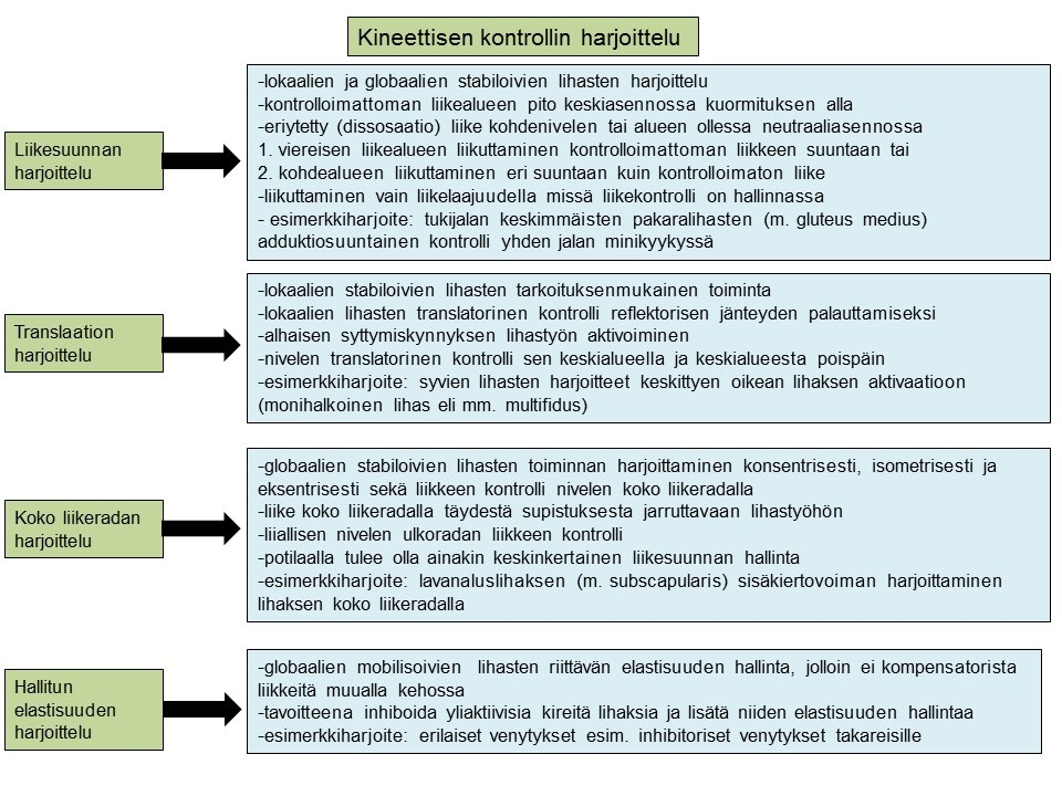 9 Kuva 1. Kineettisen kontrollin harjoittelutyypit (Niemi 2010, Comerford, Mottram 2011, 63-67) Tässä työssä esitettyjä testejä käytetään myös harjoitteina liikesuunnan harjoitteluun.