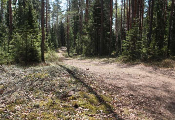 Olen juuri laskeutumassa Lapinhoikansuon läpi menevällä kapealle soraharjulle. Tänne asti vetäytyi RajaJP2 29.6.