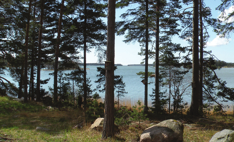 NR& Inkoon kunta Hälludden ranta-asemakaava INGÅ KOMMUN INKOON KUNTA HÄLLUDDEN STRANDDETALJPLAN HÄLLUDDEN RANTA-ASEMAKAAVA BESKRIVINING AV STRANDDETALJPLAN RANTA-ASEMAKAAVASELOSTUS 7.4.