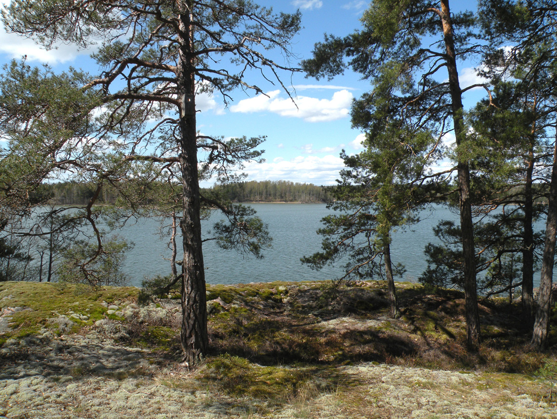 R N& Arkkitehtuuri- ja maisemasuunnittelu NATUR LUONTO Öppet berg på krönområde. Lakialueen avokallioaluetta. Strandzon i planområdets norra del.