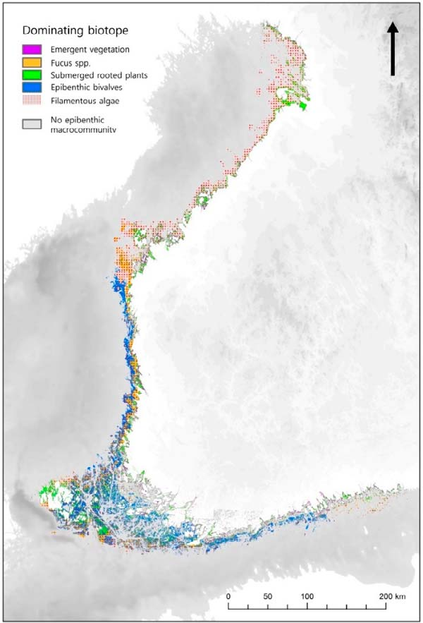 8 Tietojen jatkokäyttö Kun lajitieto on saatu Metsähallituksessa keskitettyyn ja helposti saatavilla olevaan muotoon (esim.