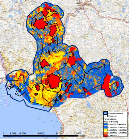 SUO- JA METSÄVARIANTIT /