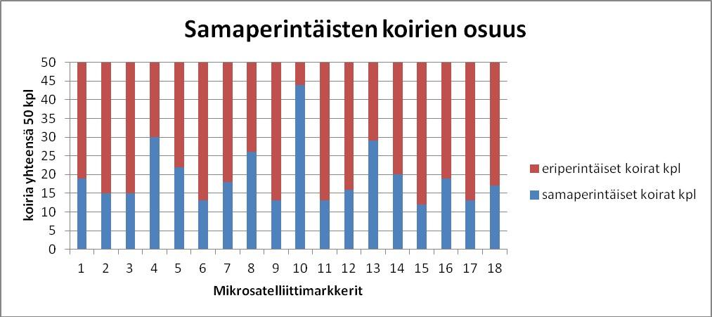 108 Kuva 4. Samaperintäisten koirien määrä eri kromosomikohdista mitattuna. Tulos näyttää samansuuntaiselta DLA- alueeseen verrattuna, ollen kuitenkin hiukan suurempi.