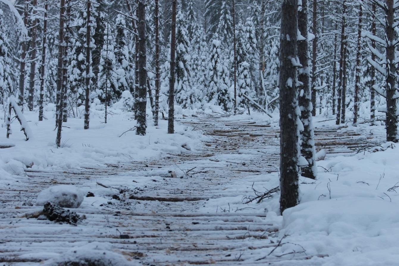 33 kaan haastavaa. Suunnitteluvaiheessa olisi syytä kartoittaa, onko leimikolle mahdollista sijoittaa kaksi varastopaikkaa, joihin metsäkuljetus tapahtuisi vuorotellen.