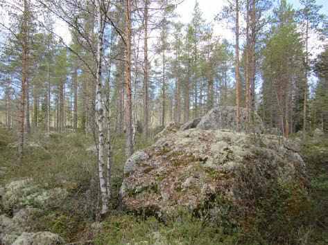 21 Kuva 20. Voimalapaikka 10 kuvattu kaakkoon. Rämeen ympäröimä tasainen kivinen kangas. Kuva 21. Voimalapaikka 11 kuvattu kaakkoon.