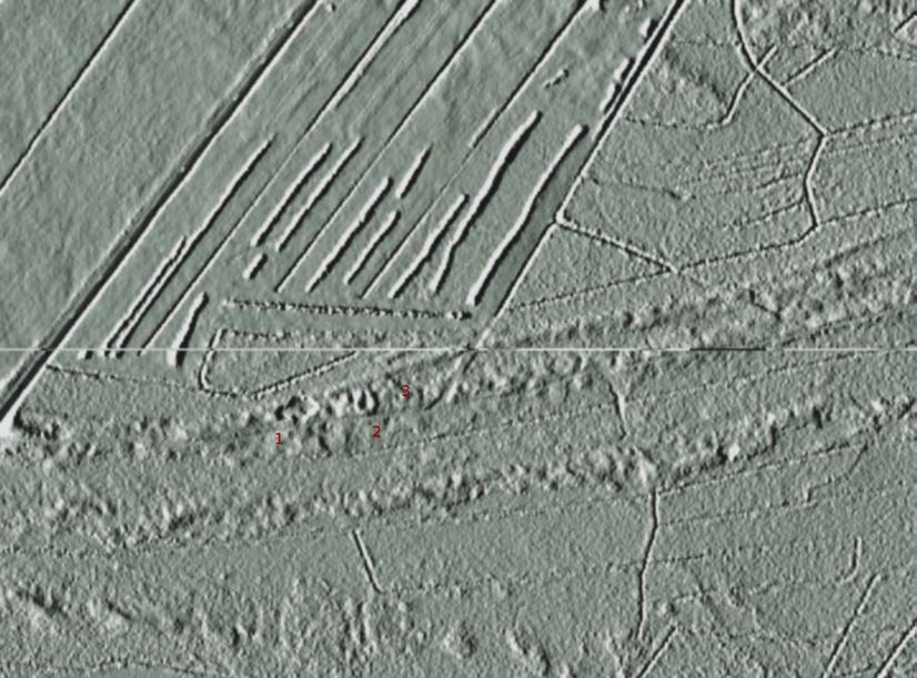 6 Kartta 4. Lidar-vinovalovarjoste. Muinaiset hiekkadyynit (kaarrot) erottuvat hyvin ympäristöstään. Lisäksi erottuu ihmisen aiheuttamia muutoksia: 1 sorakuoppa, 2 tervahauta, 3 tervapirtin pohja.