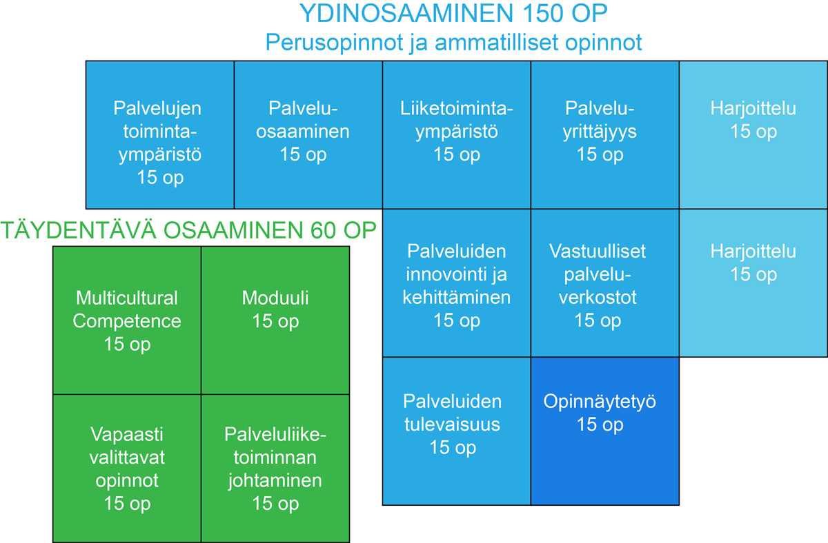 OSAAMISALUEET ELI KOMPETENSSIT Yhteiset kompetenssit luovat pohjan asiantuntijuuden kehittymiselle, yhteistyölle ja työelämässä toimimiselle.