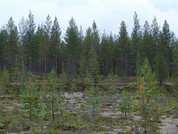 LIITE 11 Kuva 1 Ottaminen alkaa vanhan ottoalueen pohjalta ja etenee koillisesta