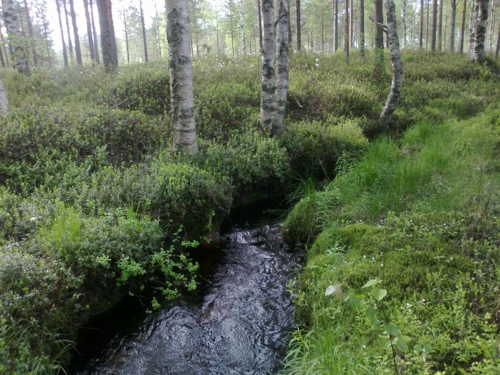 Projektin rahoitus Budjetti 200 000 euroa Rahoittajat: Pohjois-Pohjanmaan ELYkeskuksen