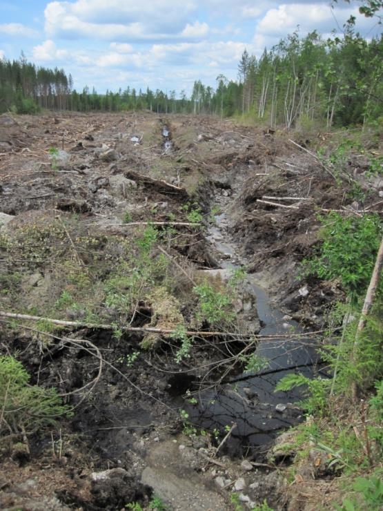 Projektin tarve Turvemaiden käyttö kasvaa (kunnostusojitukset, uudet turvetuotantoalueet).