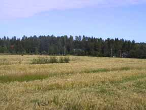 OULUJOKIVARREN RAKENNUS- JA KORJAUSTAPAOHJEET JA Konttisentien ympäristö MAISEMA, VESISTÖT JA NÄKYMÄT Alueen maisemallisten arvojen säilymisen kannalta on tärkeää, että metsäalueet ja metsän reunat