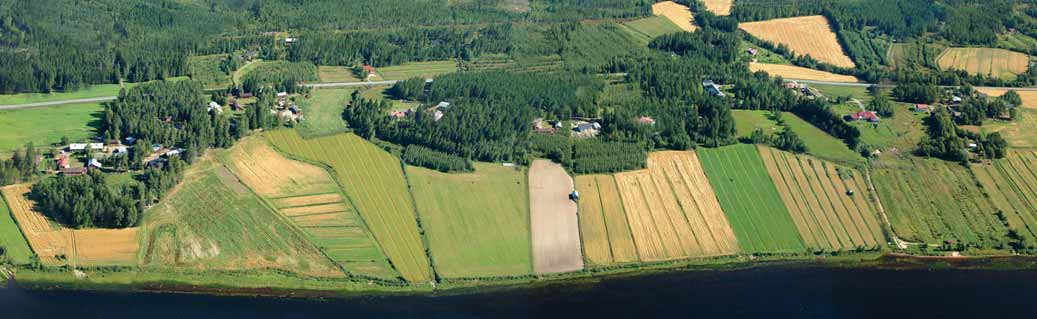 OULUJOKIVARREN RAKENNUS- JA KORJAUSTAPAOHJEET JA Lapinkangas