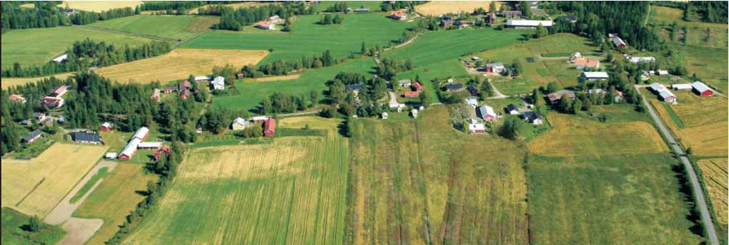 OULUJOKIVARREN RAKENNUS- JA KORJAUSTAPAOHJEET JA Pikkaraisenkylä