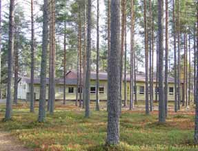 OULUJOKIVARREN RAKENNUS- JA KORJAUSTAPAOHJEET JA Sanginsuu KATUTILAT JA RAITTIMILJÖÖT Alueen halki kulkee Vaalantie ja siihen risteävä, sillalle johtava Sanginsuuntie.