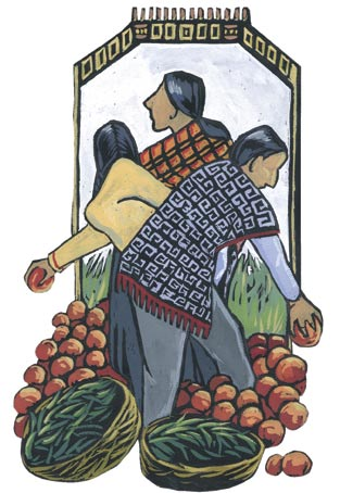 Maaseutukehityksen