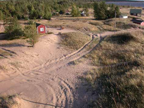 Paikan nimi Lahdenkrooppi Luontotyyppi Valkeadyyni. Harmaadyyni Sijainti Lahdenkrooppi V8,9,13,17,26.