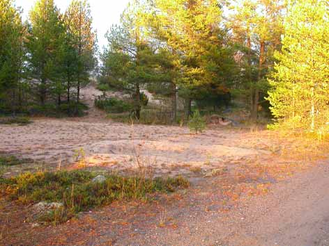 Paikan nimi Pitkäpauhantie Luontotyyppi Metsä Vaurion laatu Pistekuluma laajemmalla tienlaidan levikkeellä Sijainti Pitkäpauhantien vauriopiste V215 Vaurion määrä Halkaisijaltaan kaksi metrinen ja 0.