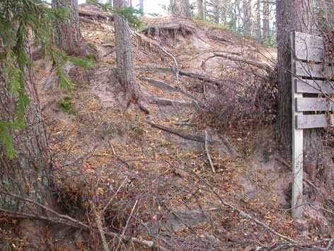 Paikan nimi Kommelinpakka Luontotyyppi Metsäinen dyyni Vaurion laatu Urautunutta kulumista, kaivanto Sijainti Kommelinpakan takarinne sisältäen vauriopisteet V108, 111,112.