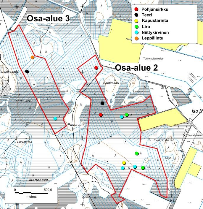 32 Suojelullisesti huomionarvoisia lajeja havaittiin yhdeksän (Taulukko 6-4, Kuva 6-6 ja Kuva 6-7). Vaarantunut pohjansirkku (kaksi laulavaa koirasta) oli laskennan ainoa uhanalainen laji.