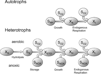 Hannu Poutiainen C18H19O9N + NO3 + H+ + NH4 --> C5H7O2N + CO2 + H2O + N2 (Nitrifioivat bakteerit)