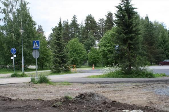 7 näiden siementaimia. Ruohoista kasvaa yleisesti koiranputkea, metsäkurjenpolvea (Geranium sylvaticum), huopaohdaketta, leinikkiä (Ranunculus sp.) ja poimulehteä (Alchemilla sp.). Tältä alueella kasvaa myös mm.