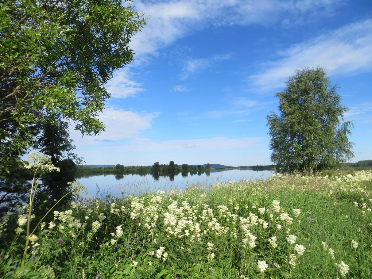 4 MAISEMAKUVA Maisemakuvaltaan suunnittelualue on kokonaisuudessaan laaksoa ja ranta-aluetta. Laakso kapenee pohjoista kohti, ja paikoitellen taustaselänteet ovat jyrkkiä vaaroja.