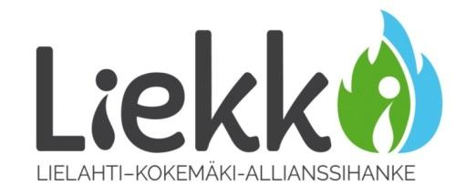 Lisää tietoa hankkeesta liikennevirasto.fi/lielahti-kokemäki Rakentamisen aluepäällikkö Mikko A. Heiskanen, Liikennevirasto p. 029 534 3808 mikko.