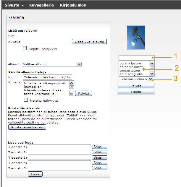 Kun kuva on lisätty albumiin, merkitään sen yhteyteen seuraavat tiedot: tekijä/ nimimerkki/ koulu/ luokka (1), kuvausteksti (2) sekä valitaan pudotusvalikosta albumi (3), jonne kuva liitetään.