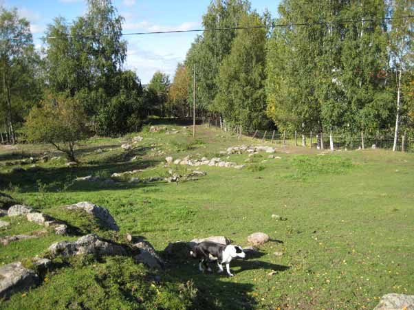 IITIN HISTORIALLISEN AJAN MUINAISJÄÄNNÖSTEN