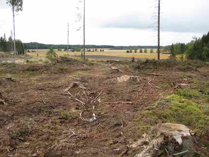 Haapa-Kimola Samppa 142500003 Laji: kiinteä muinaisjäännös Ajoitus: historiallinen Muinaisj.