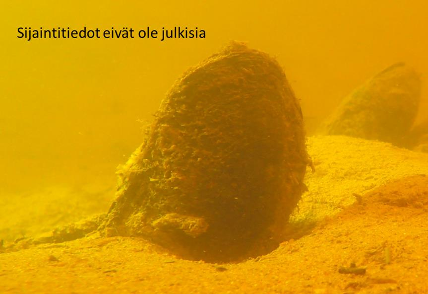 3.2 Karjaan tutkimusalue Tunnettu jokihelmisimpukan esiintymisalue sijaitsee Karjaan keskustassa Raaseporissa (Kuva 4). Kartoitetun alueen pituus oli noin 740 metriä.