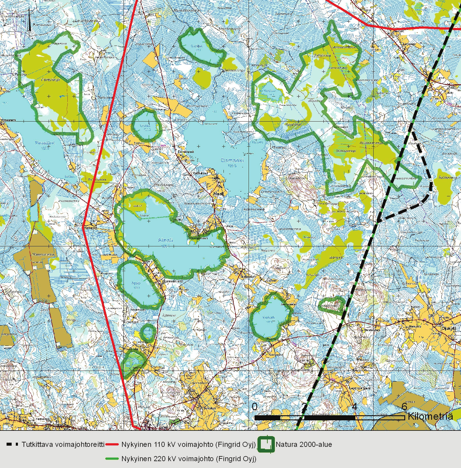 Keski-Suomi Oulujoki 400 kv voimajohtohanke Haapaveden lintuvedet ja suot Natura-arvio 27.6.