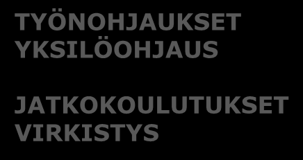 MENTORISUHDEPROSESSI ASIAKAS Tarve matalan kynnyksen tuelle KAUPUNGIN TT Ohjaa asiakkaan ottamaan joko itse tai yhdessä TT:n kanssa yht.