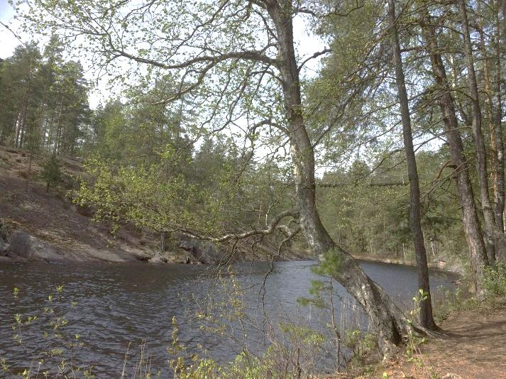 . Retkeillen Repovedelle 8. lk 1h ja / tai 9. lk 1h : : : Harjoitella retkeilytaitoja yön yli kestävällä retkellä Repovedellä. Kurssi sisältää teoriaa (n.