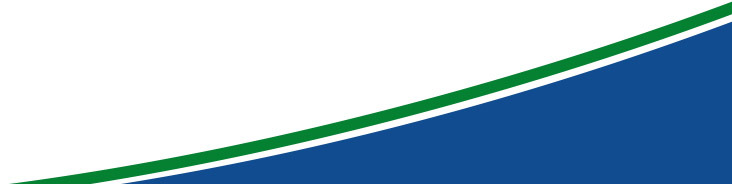Regulatory Oversight of the Licensee The Finnish Experience International Conference on Effective Nuclear Regulatory Systems