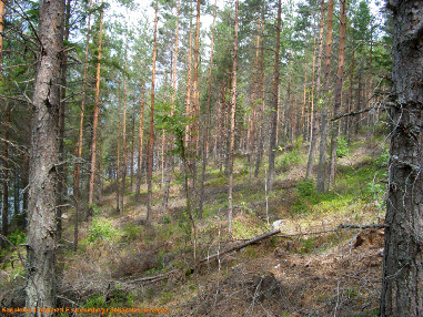 1 KARJALOHJA Linhamari Seljänalanen Fiskars Oyj:n harjualueen (5:159), sekä Puujärven kylän Sikajärven