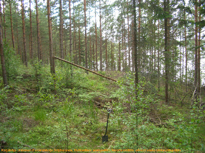 7 Asuinpaikkatasanne rinteen alaosassa, kuvattuna länteen Kuvattu etelään.