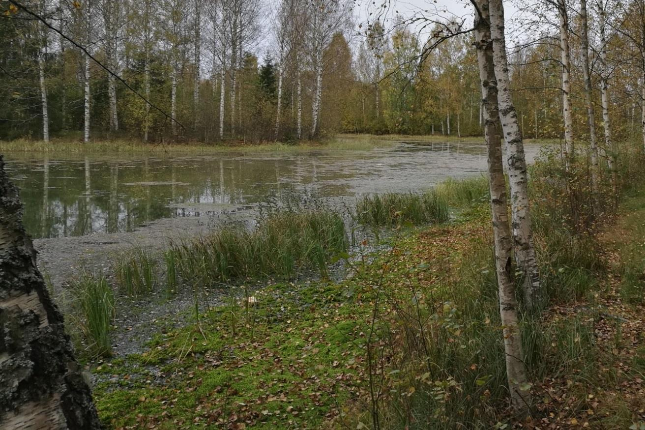 kuva 1. Kirkkolampi 3. Maaperä Kirkkolammen alueen yleissuunnitelmaa varten ei ole tehty maaperätutkimuksia.