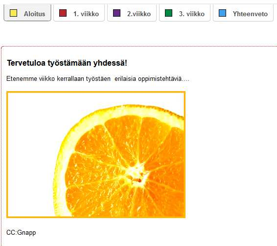 2 Sisältö Mikä on koosteen idea?