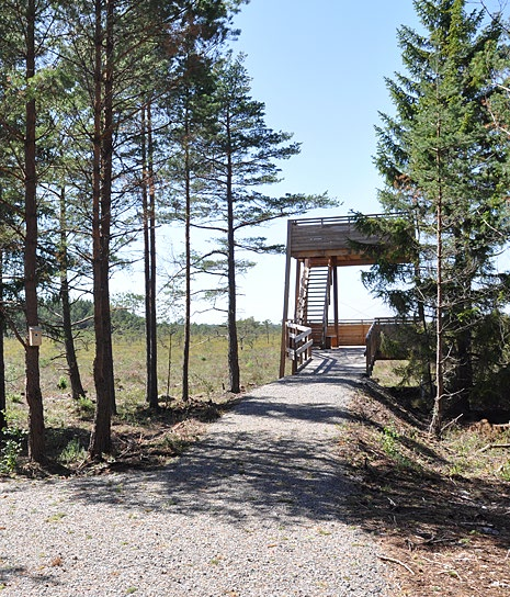 Uusien, jännittävien paikkojen löytämiseen ei aina tarvita pitkiä matkoja. Meitä ympäröivässä luonnossa, metsissä ja mailla on kauniita ympäristöjä ja kiehtovia jäännöksiä menneiltä ajoilta.