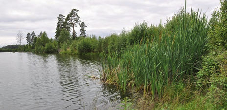 Gislavedin kotiseutupuisto (3) Seths hage