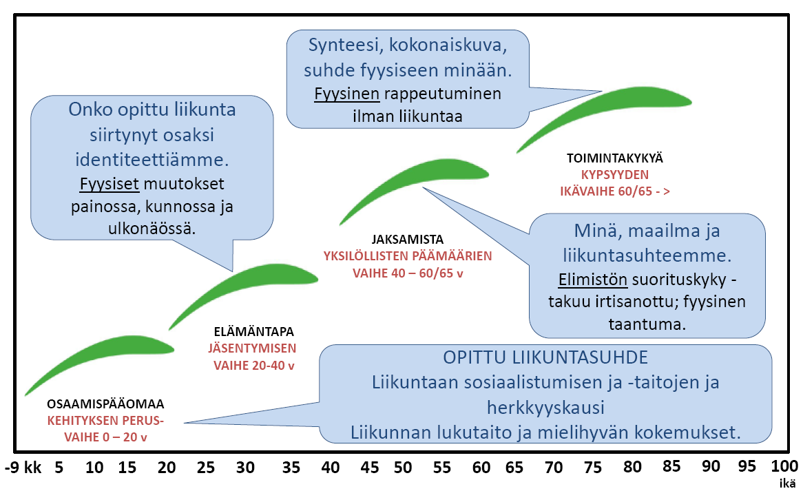 3) Motiivit liikunnan harrastamiseen muuttuvat Liikunnan rooli ja tarve muuttuu ihmisen vanhetessa: mitä vanhemmaksi elämme, sitä tärkeämmäksi liikunta terveytemme näkökulmasta tulee (kuvio 11).